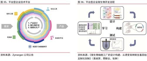 合成生物乘勢而起 顛覆傳統引領未來，軟件開發助力行業龍頭迎戴維斯雙擊